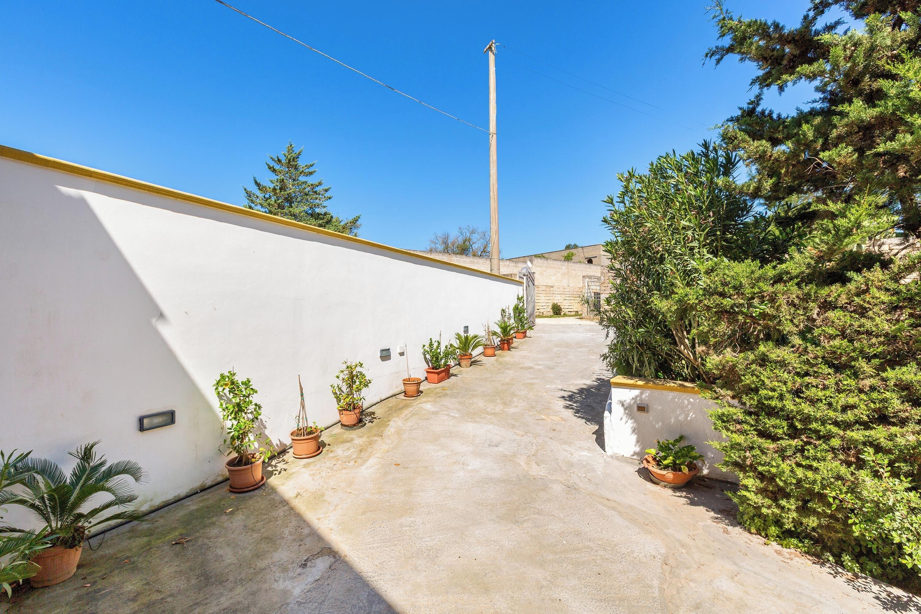 A narrow concrete pathway flanked by white walls and potted plants.