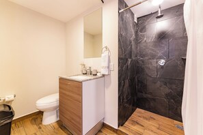 Secadora de cabello, toallas, jabón, papel de baño