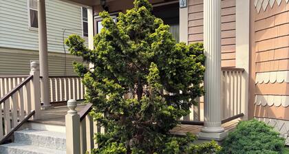3-bedroom 2 baths beautiful victorian with WiFi, AC