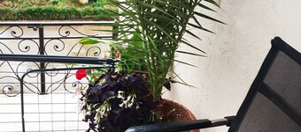 3-bedroom villa in awesome Batumi with WiFi, AC