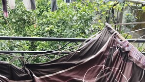 A hammock hanging on a metal frame outdoors with greenery in the background.