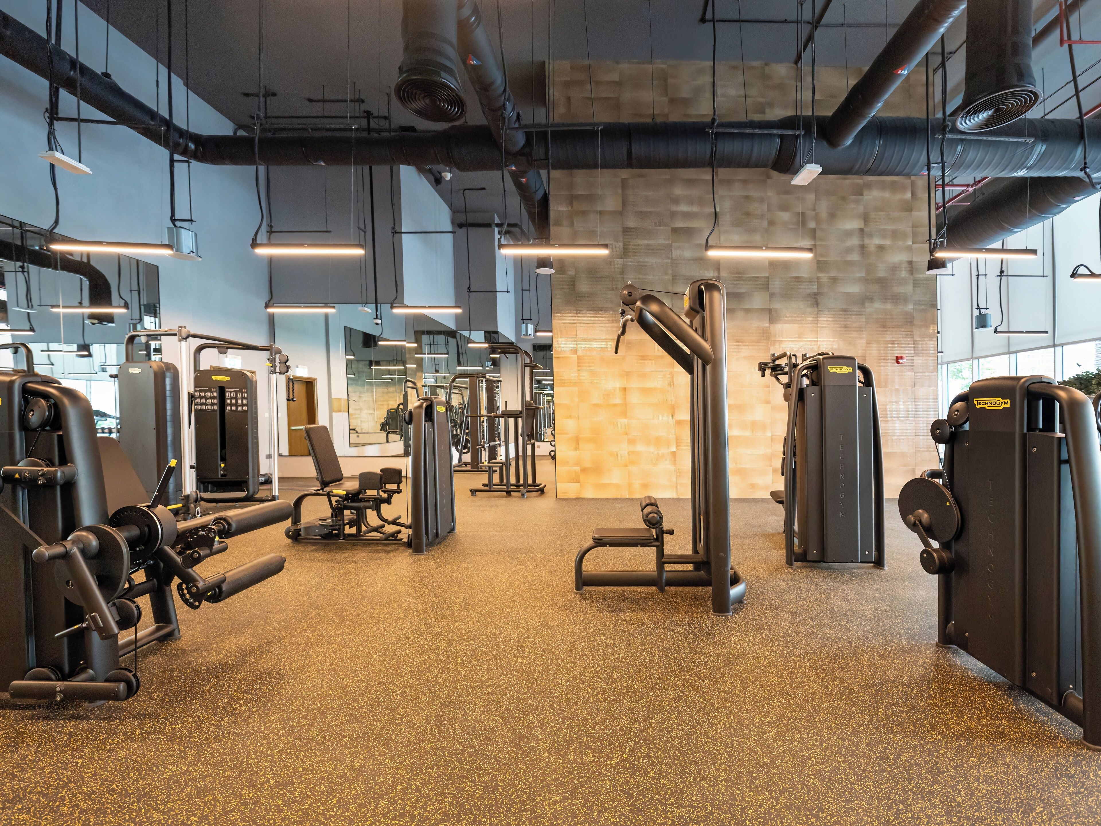 Un gimnasio con diversas máquinas de ejercicio, espejos y un suelo moteado.