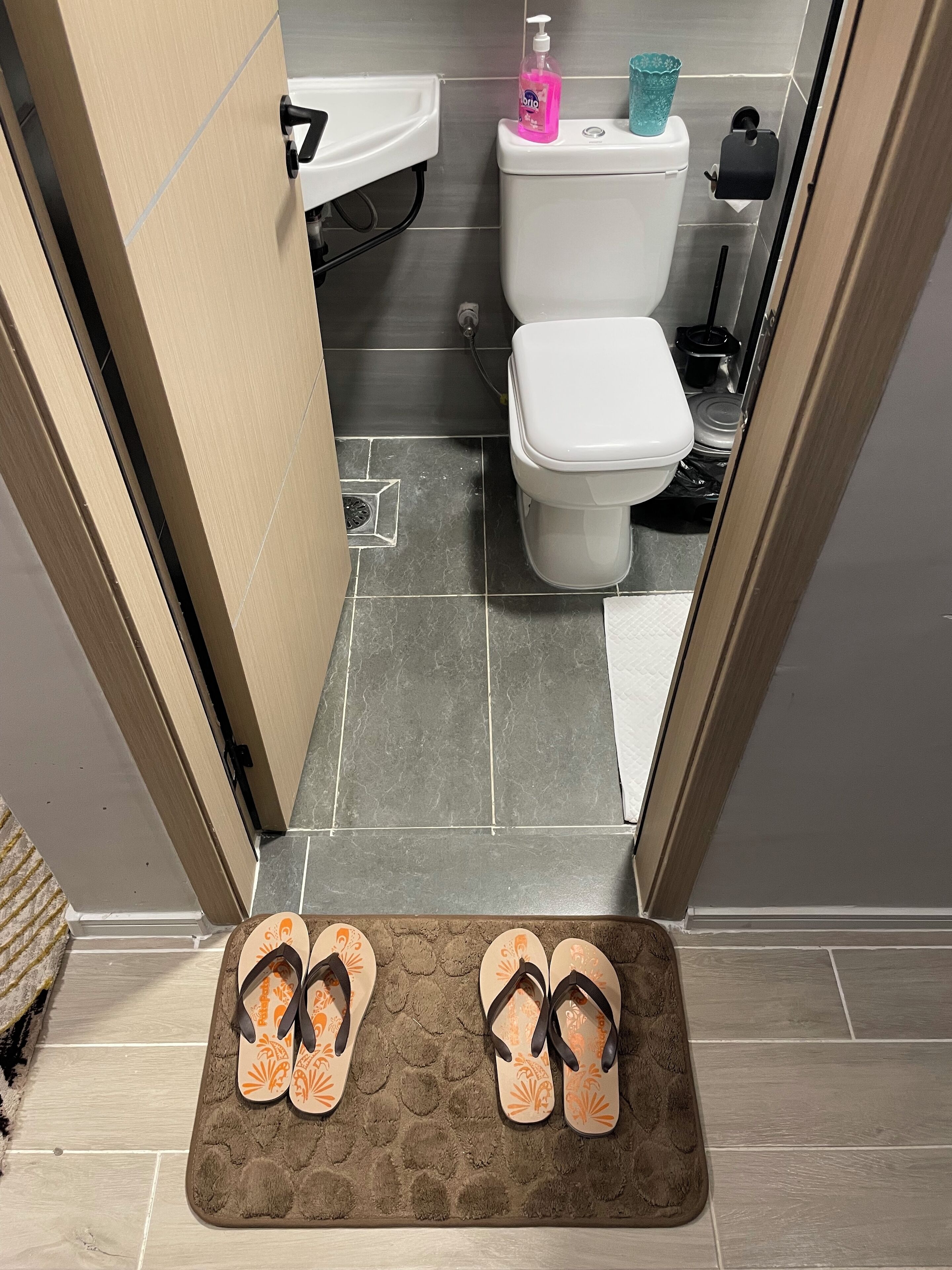 Douche, serviettes fournies, savon, papier toilette