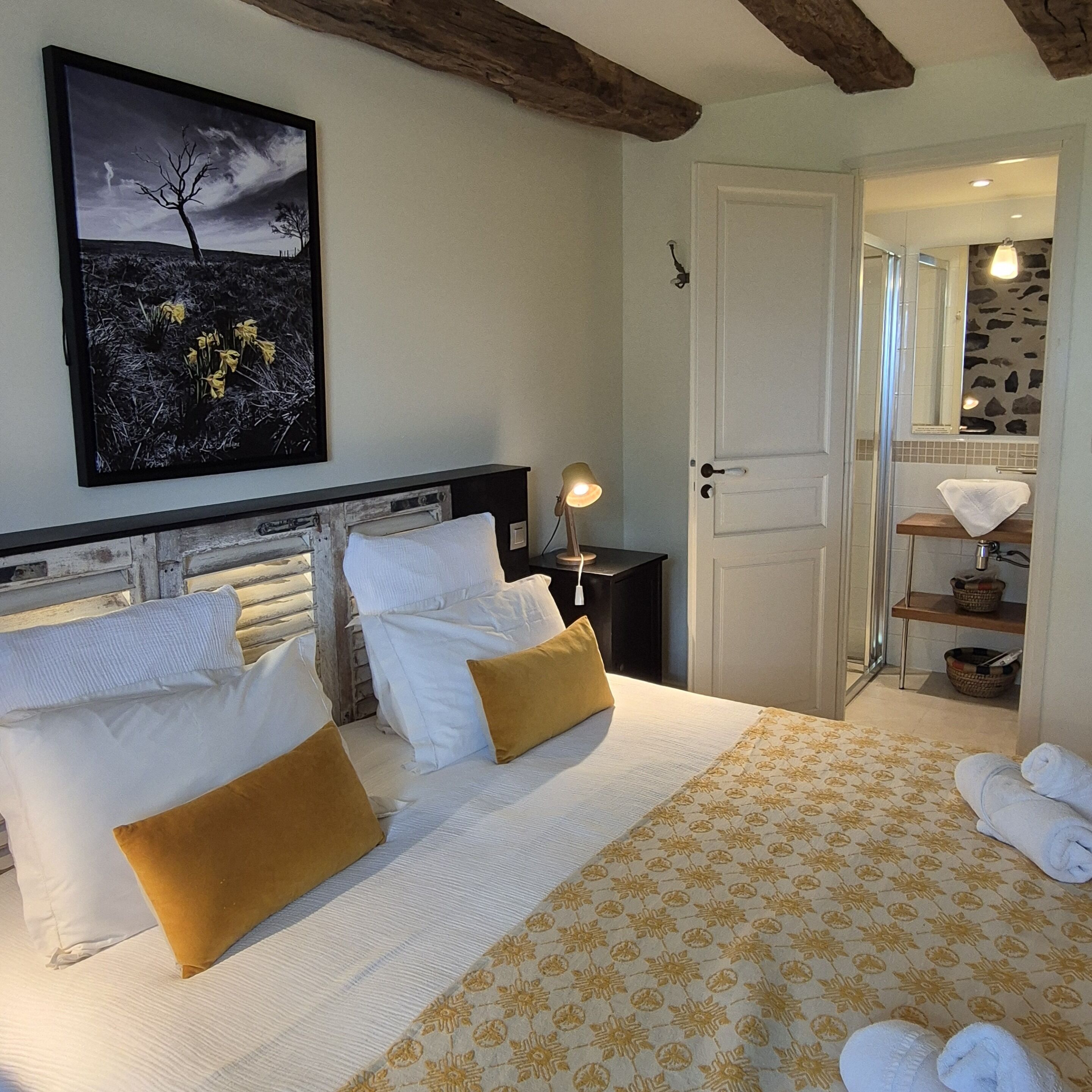 Accès au Wi-Fi (inclus)