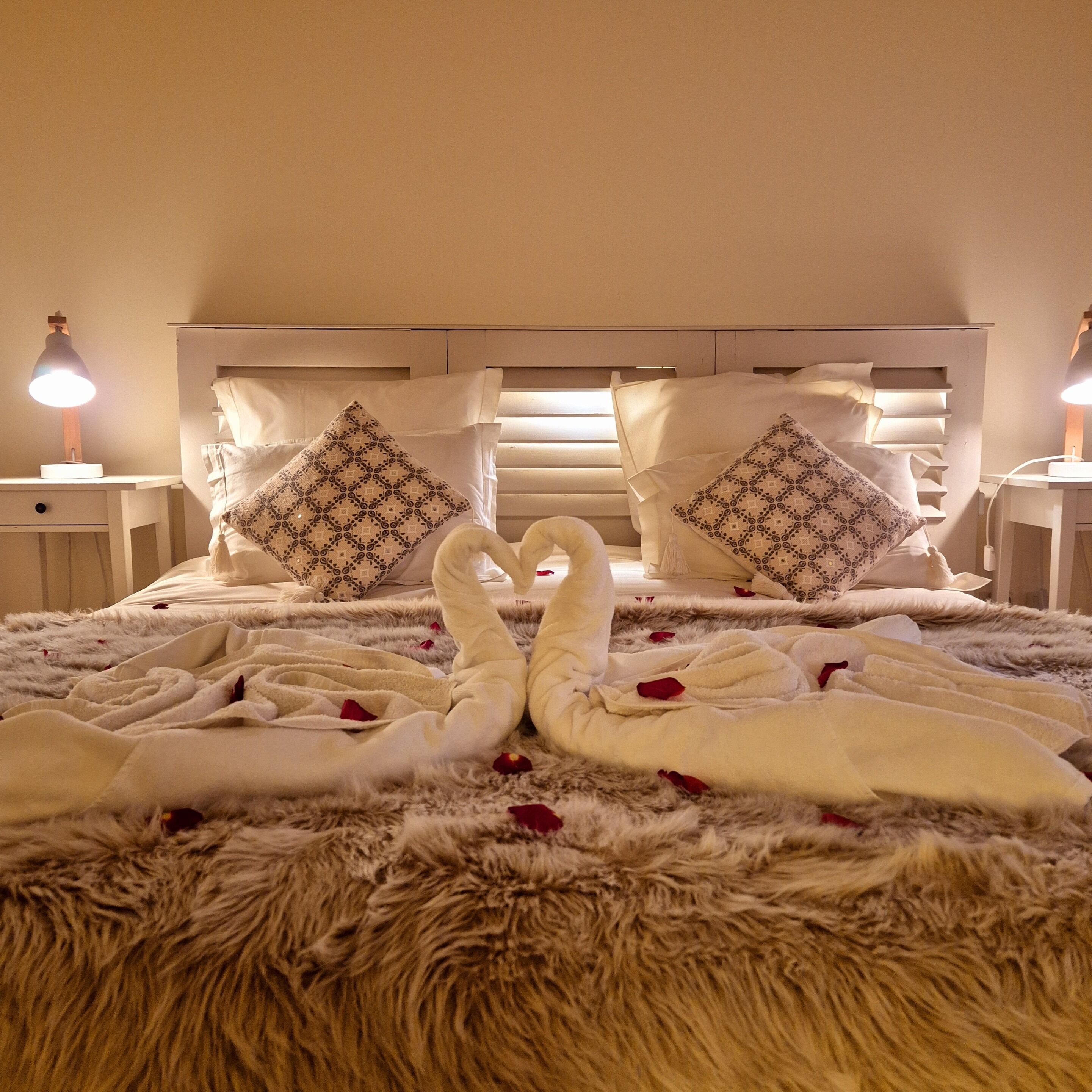 Accès au Wi-Fi (inclus)