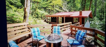 Charming 2-bedroom cabin with WiFi, AC in enchanting Blairsville