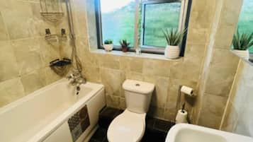 Hair dryer, towels, soap, toilet paper