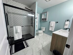 Shower, hair dryer, towels, soap