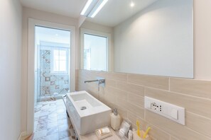 Shower, hair dryer, bidet, towels
