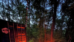 A hot tub with a fire pit in a forested area.