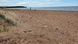 A wide sandy beach with a few scattered plants and a distant view of the sea under a partly cloudy sky. - Cozy Cottage 50 meters from the Ocean (North Rustico)