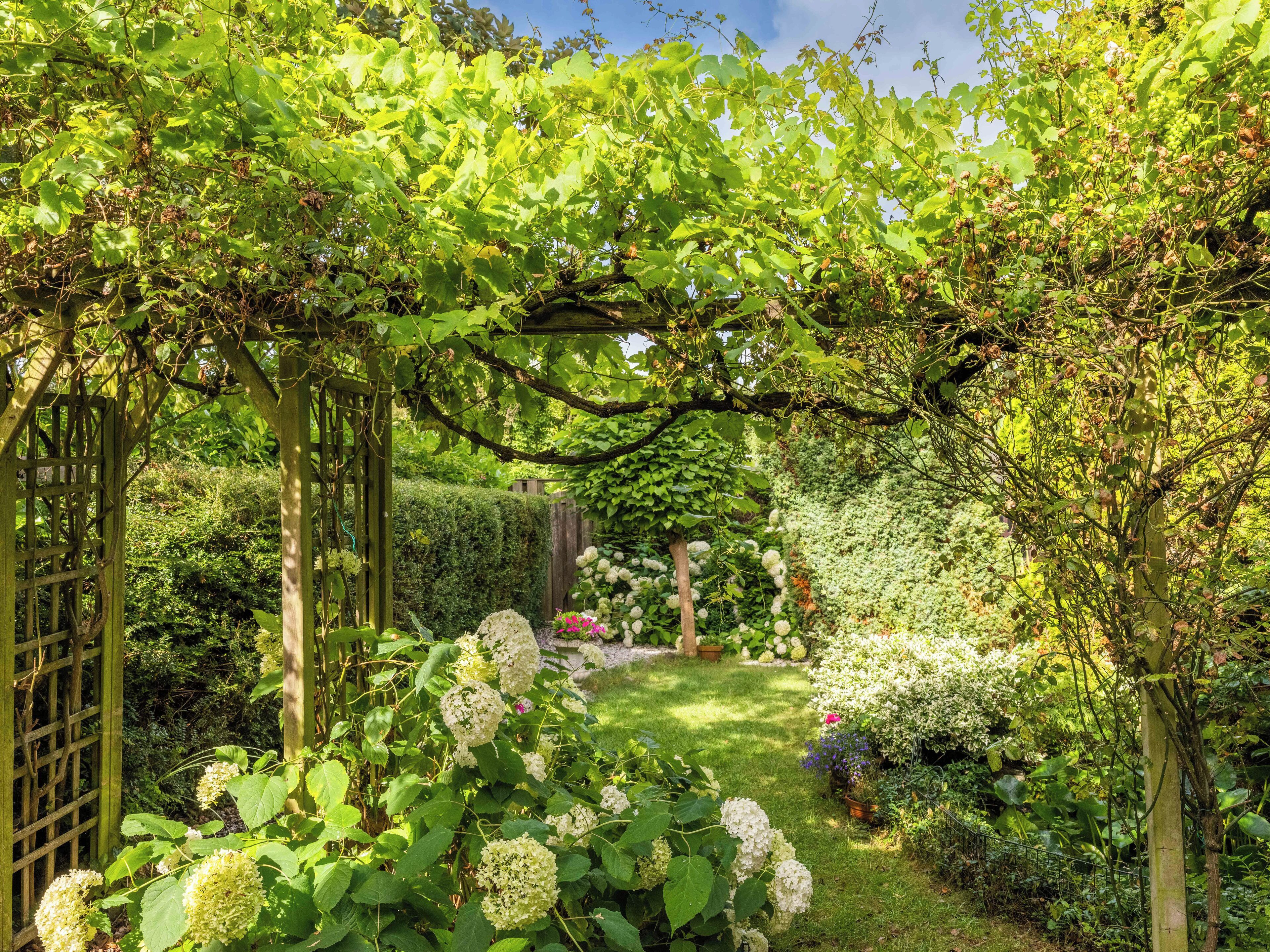 Jardines del alojamiento