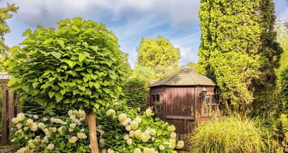 Surroundings Schoorl, Dune and Beach. Cozy house with garden on small park. Dog welcome