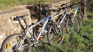 Un vélo est garé sur l’herbe, à côté d’un mur de pierres.