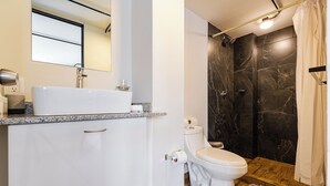 A modern bathroom with a white sink, toilet, and shower. - VH | Condesa nice loft with roof terrace + GYMNASIUM | 248 (Ciudad de México)
