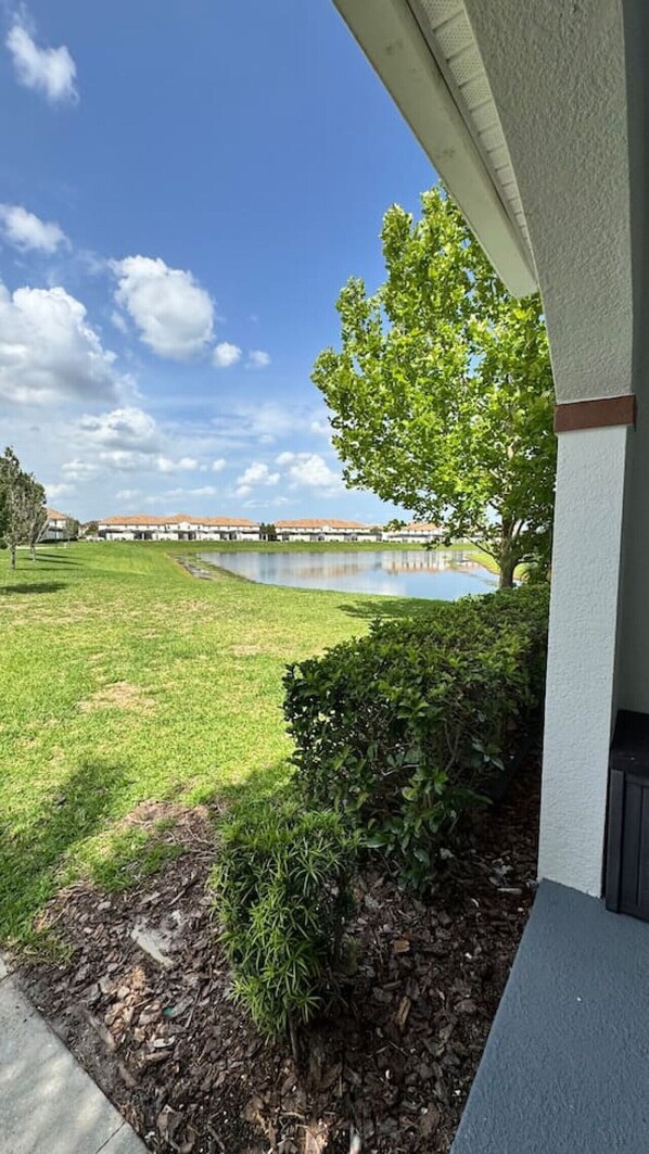 A view from a building's porch overlooking a grassy area with a body of water and a tree.
