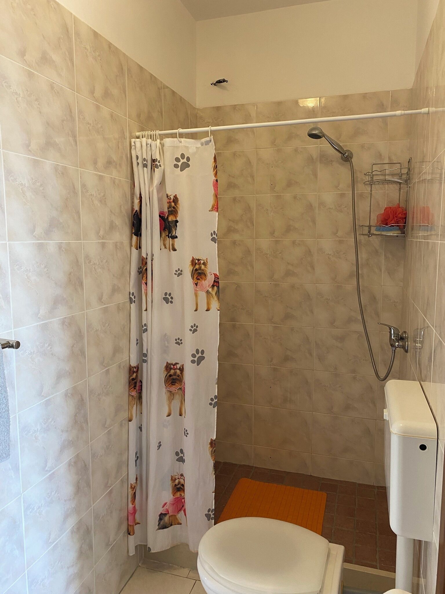 Dusche, Haartrockner, Bidet, Handtücher