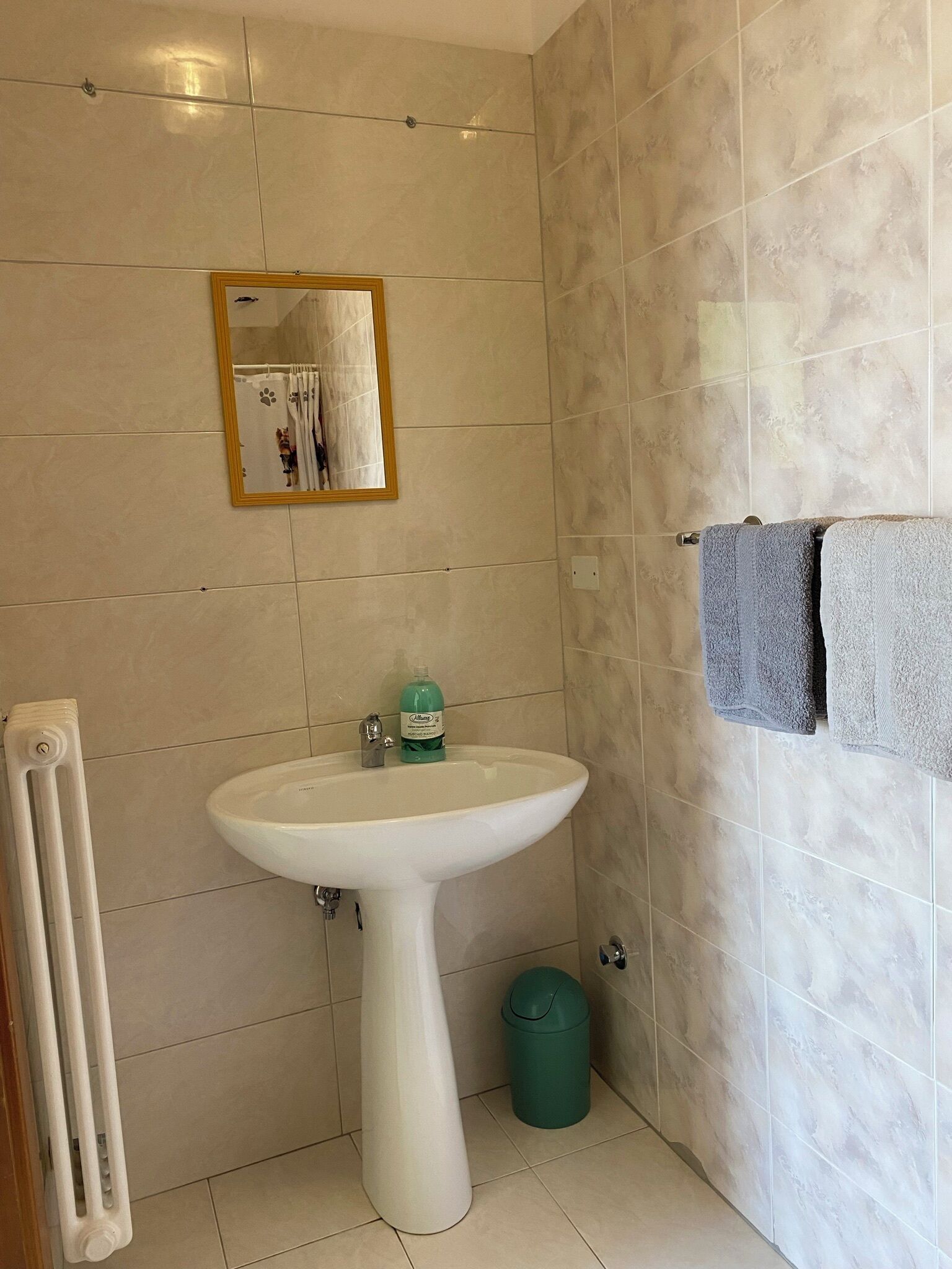 Ein Badezimmer mit einem Waschbecken auf Säule, einem Spiegel, einem Handtuchhalter mit zwei Handtüchern, einem Heizkörper und einem Mülleimer.