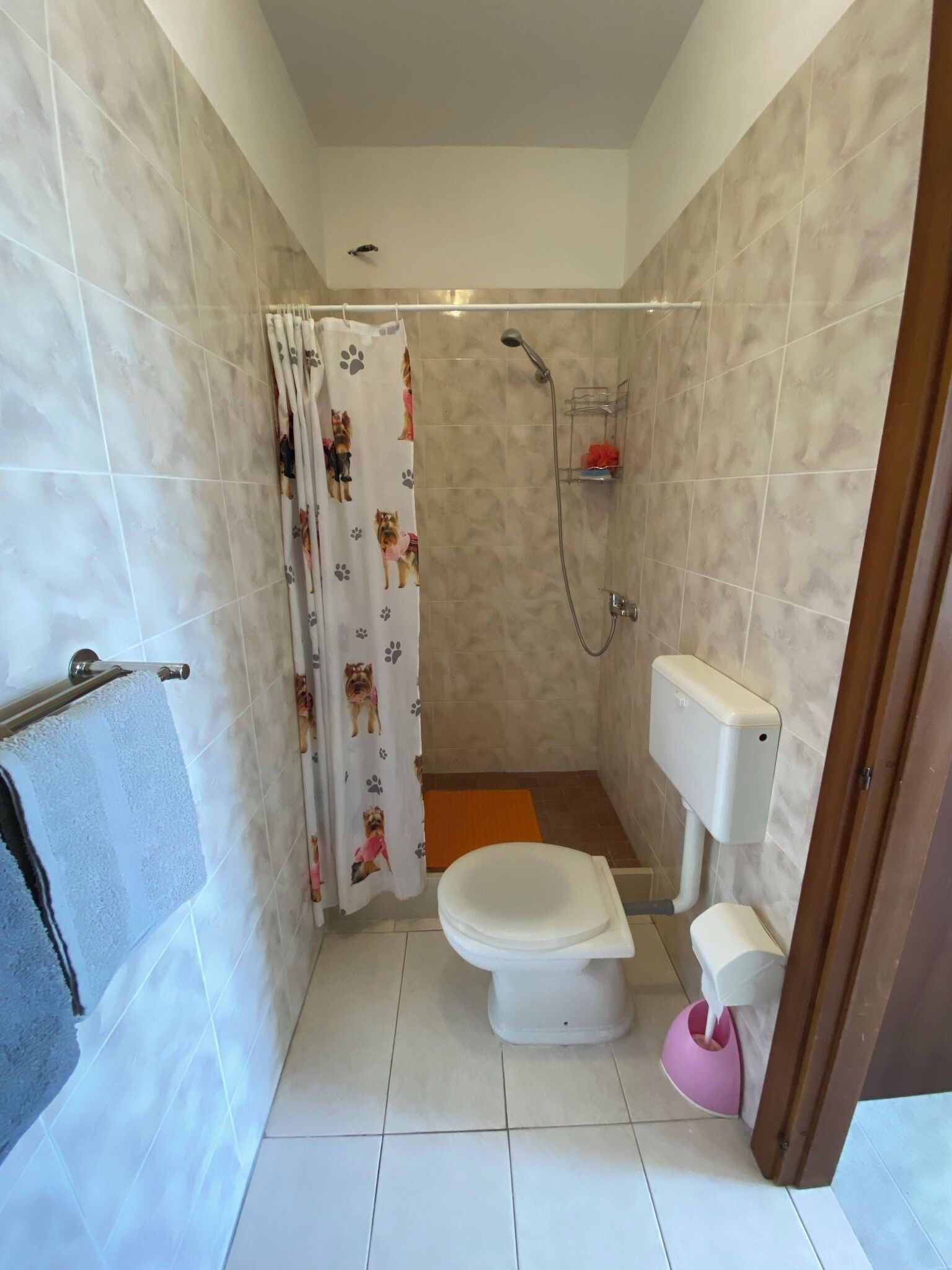 Une petite salle de bain comprenant des toilettes, une douche et un porte-serviettes.
