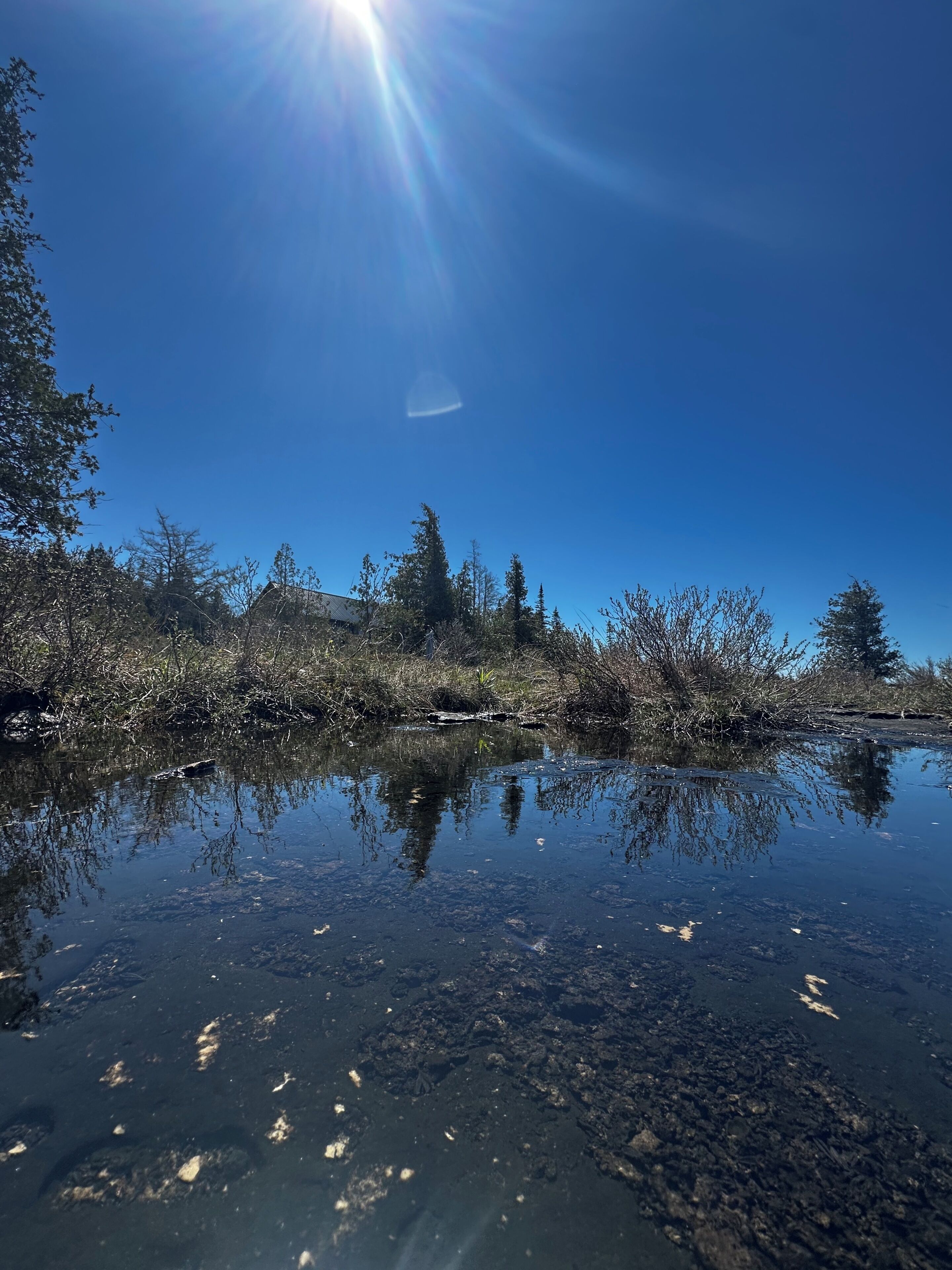 Cel blau, un cos d'aigua que reflecteix arbres, i un edifici a la distància.