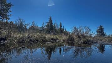 Cel blau, un cos d'aigua que reflecteix arbres, i un edifici a la distància.