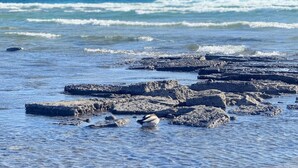 A rocky shoreline with waves crashing onto the rocks.