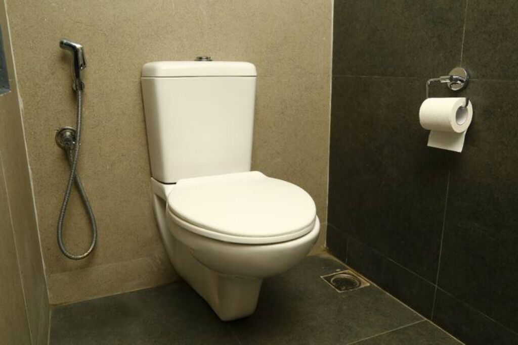 Et moderne badeværelse med toilet, bruser og toiletpapirholder.