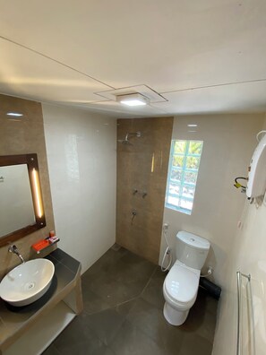 Hair dryer, bidet, towels, soap