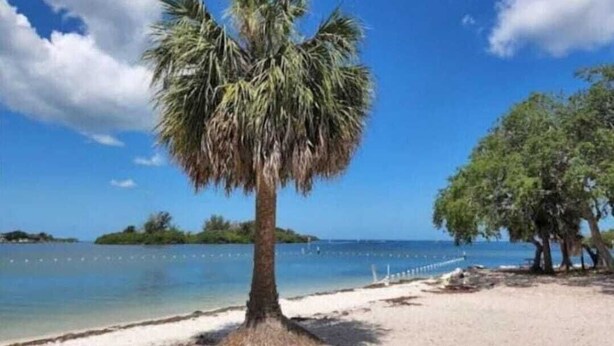 Beach - Seabreeze - Charming 2-bedroom house in amazing Holiday with WiFi, AC.  (Holiday)