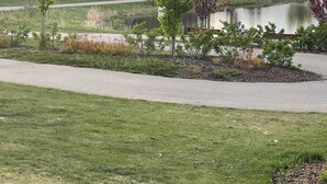 A residential area with modern houses, a paved walkway, and a small pond. - Comfy 2BR Basement Getaway (Edmonton)