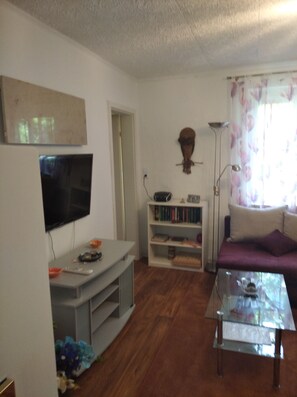 Smart-TV, Kamin