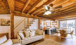 Smart TV, fireplace, books, video library