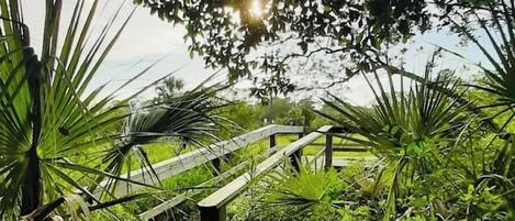 Terrein van de accommodatie