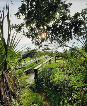 A wooden bridge over a lush green area with dense foliage and a clear sky.