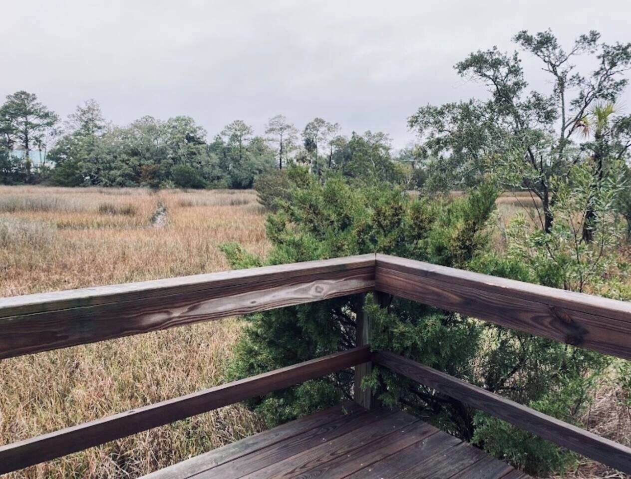 Une terrasse en bois offrant une vue sur un paysage naturel.