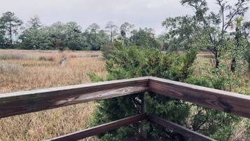 Une terrasse en bois offrant une vue sur un paysage naturel.