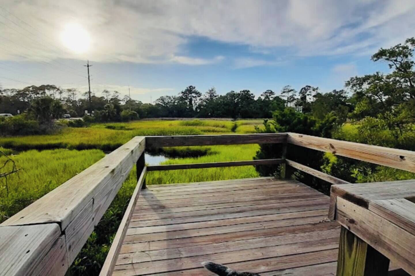 A wooden boardwalk leading to a marshy area with water and greenery.