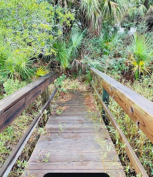 Overnatningsstedets område