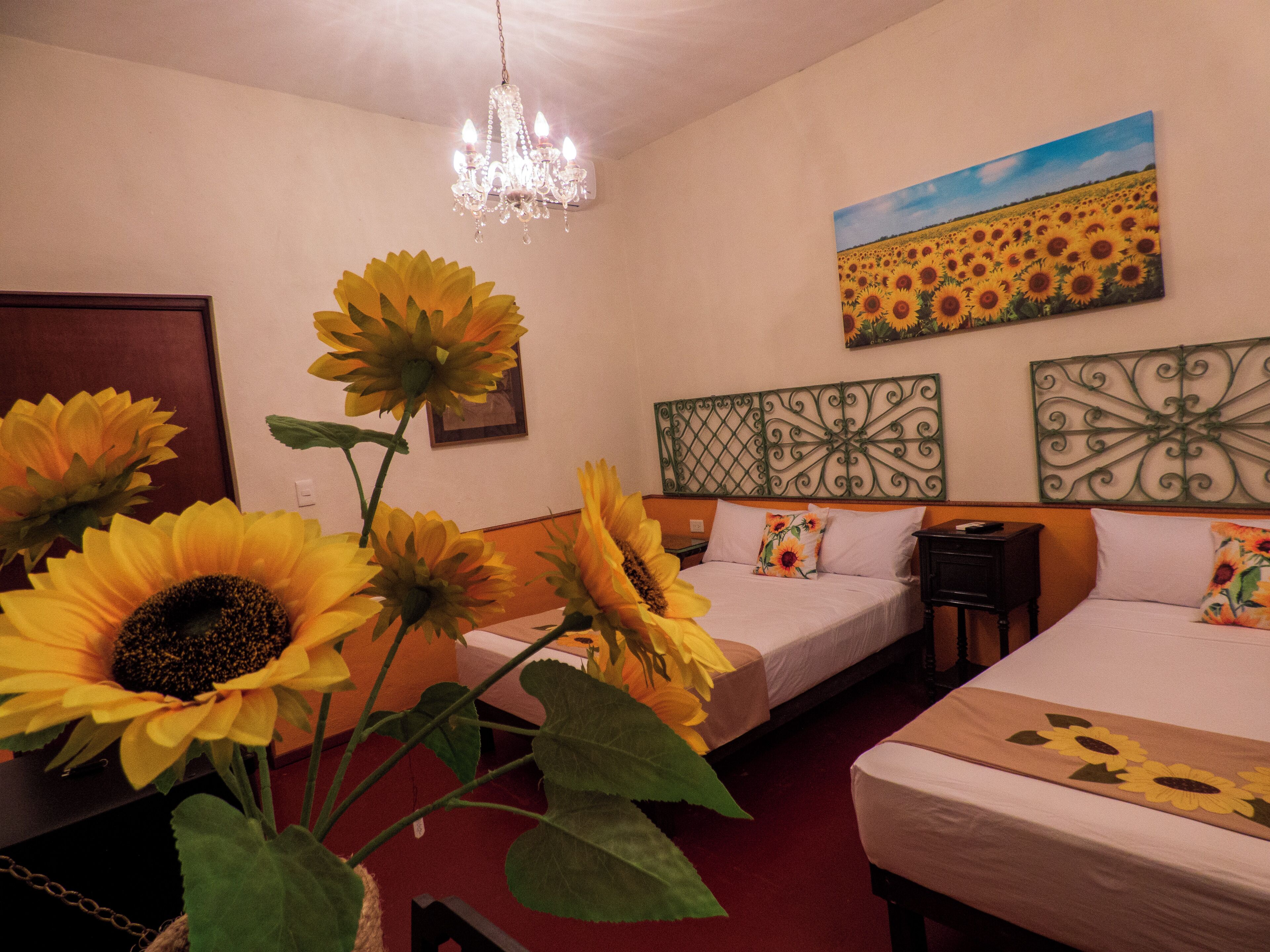 Foto - Hotel Boutique Flores y Gemas