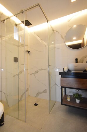 Shower, towels, soap, toilet paper