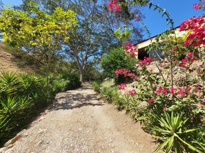 Áreas de la propiedad