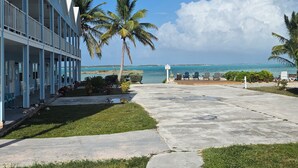 Un hotel frente a la playa con piscina, palmeras y vistas al océano.