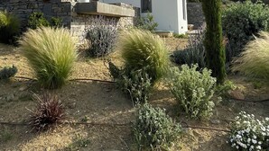 A modern house with a stone facade and white walls, surrounded by dry vegetation and a clear sky.