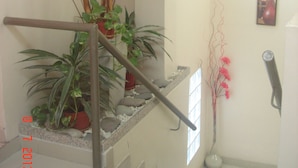 Un escalier avec une rampe métallique, des plantes en pot et un vase rempli de fleurs.
