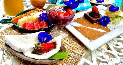 Estalagem AnauĂĄ Pousada