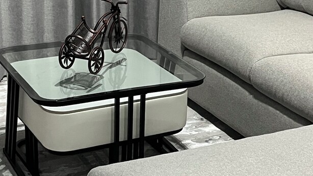 Un salon moderne avec une table basse en verre, un petit vélo et un canapé gris.