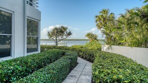 A landscaped pathway leading to a body of water, flanked by manicured hedges and palm trees. - Waterfront, Spa/Pool, Private Paradise on Longboat Key! (Longboat Key)