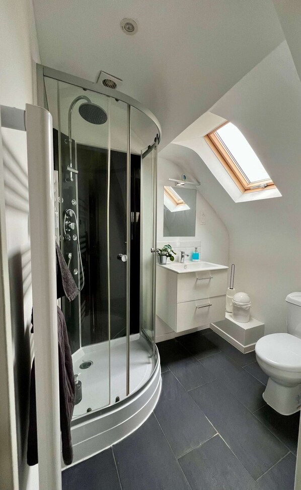 Shower, hair dryer, towels