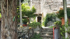 Un edificio de piedra con puerta de madera, rodeado de follaje y un árbol.