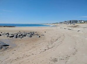 Una playa arenosa con rocas dispersas y un cielo azul despejado.